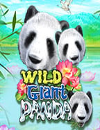 monster168 slot 20 รับ 100wow slot333 รีวิวเบนหลักสู้นี้!